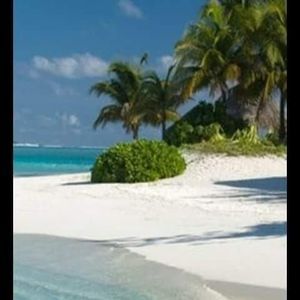 Meet your Posher, Mercedes